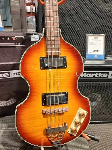 Epiphone Viola Bass 2